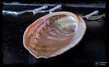 Load image into Gallery viewer, Mini Abalone Shells