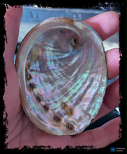 Load image into Gallery viewer, Mini Abalone Shells