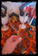 Load image into Gallery viewer, Black Hollyhock Root