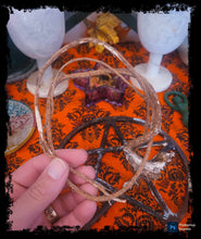 Load image into Gallery viewer, Black Hollyhock Root