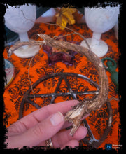 Load image into Gallery viewer, Black Hollyhock Root