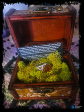 Load image into Gallery viewer, Baltic Amber Pumpkin Rings