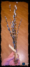 Load image into Gallery viewer, Pussy Willow Bundles
