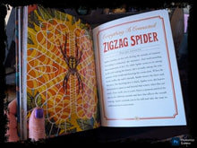 Load image into Gallery viewer, The Illustrated Bestiary: Guidance and Rituals with 36 Inspiring Animal Cards
