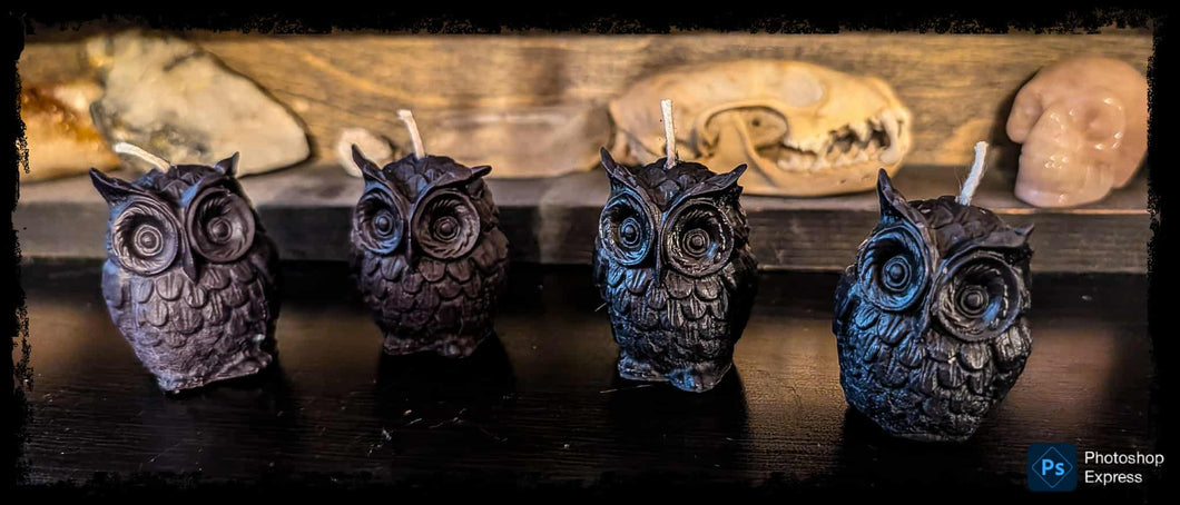 Mini Owl Candles