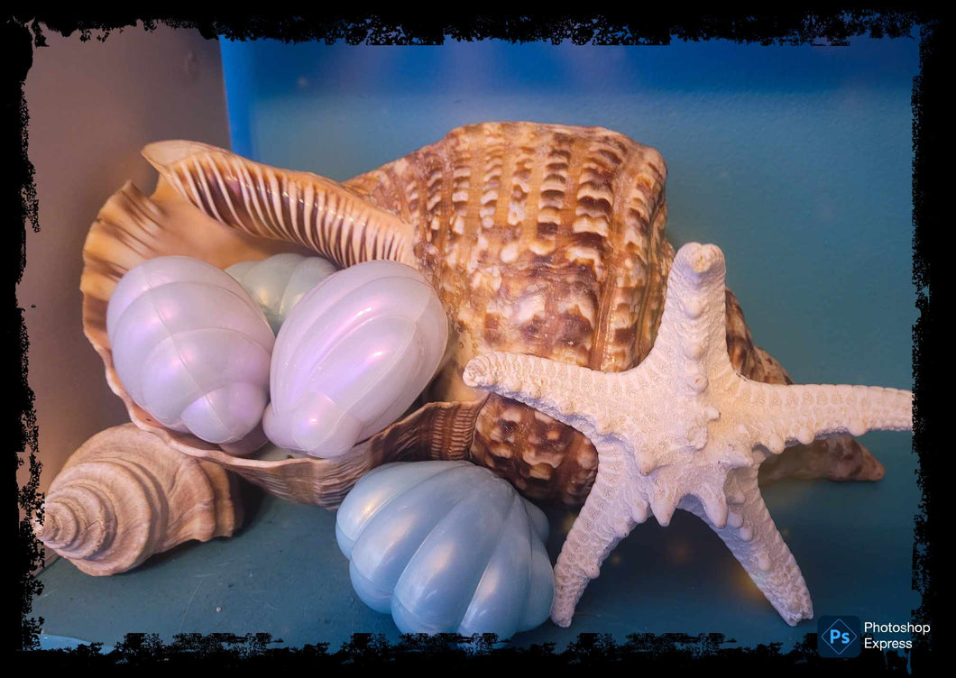Clamshell Crystal Surprise!