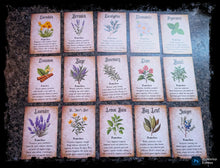 Load image into Gallery viewer, Herbal Magick Reference Cards
