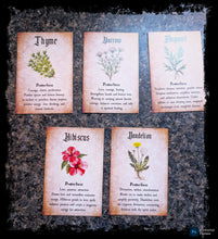 Load image into Gallery viewer, Herbal Magick Reference Cards
