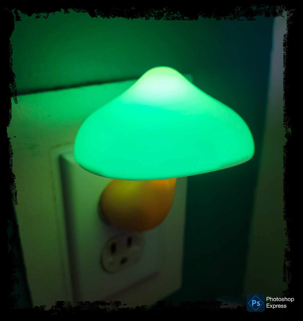 Mushroom Night Light