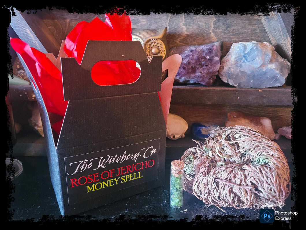 Rose of Jericho Money Spell Kit