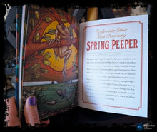 Load image into Gallery viewer, The Illustrated Bestiary: Guidance and Rituals with 36 Inspiring Animal Cards
