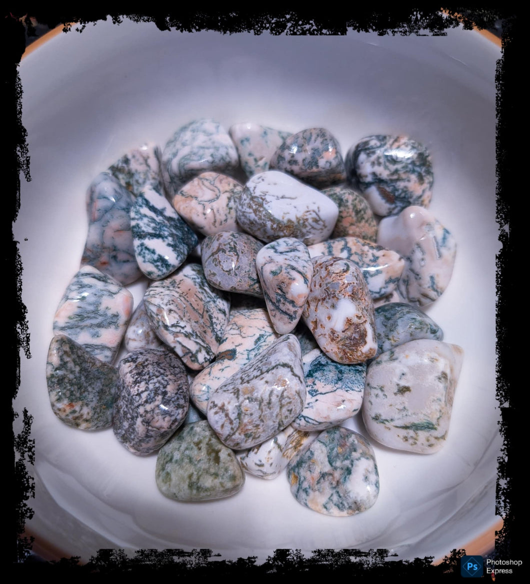 Tree Agate, Polished