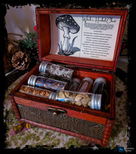 Load image into Gallery viewer, Witch's Herbal Chest
