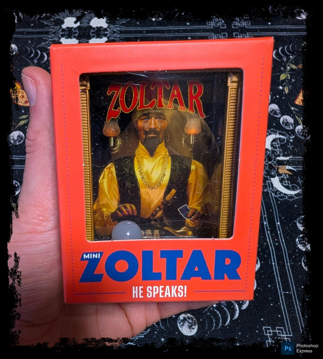 Mini Talking Zoltar Fortune Teller