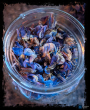 Load image into Gallery viewer, Lupine Flowers
