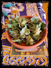 Load image into Gallery viewer, Ivy Leaves
